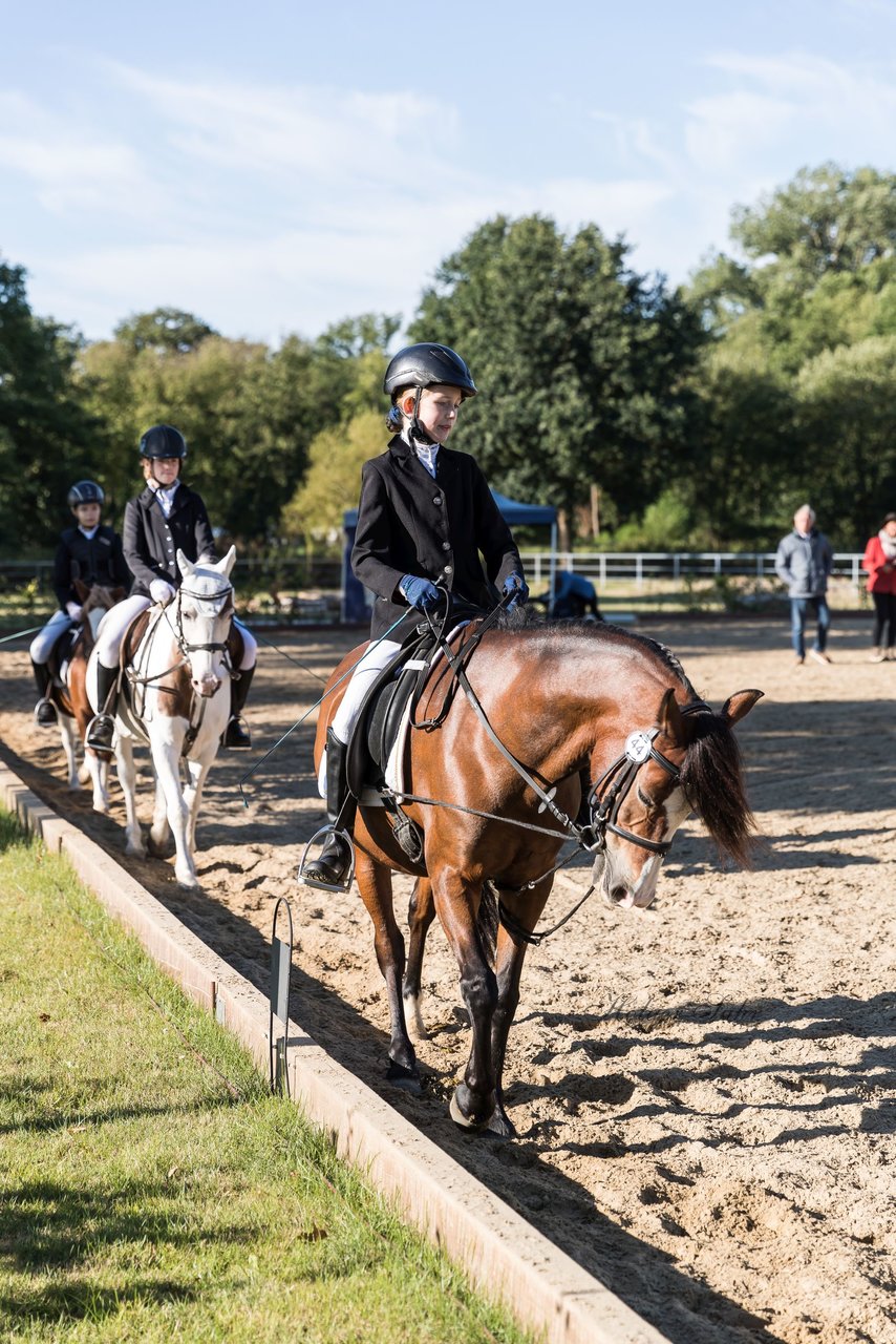 Bild 10 - Pony Akademie Turnier